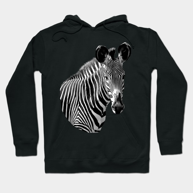 Zebra drawing - Wildlife - Grevy´s Zebra in Africa Hoodie by T-SHIRTS UND MEHR